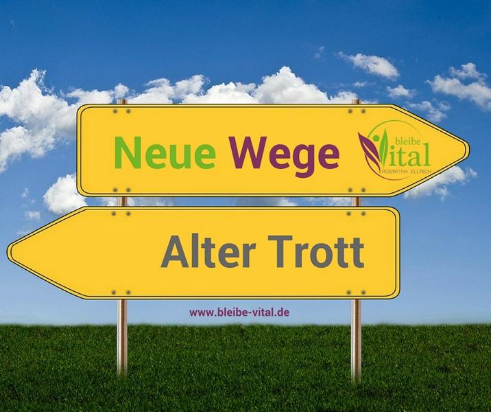 ernährungs-coaching-vital-check