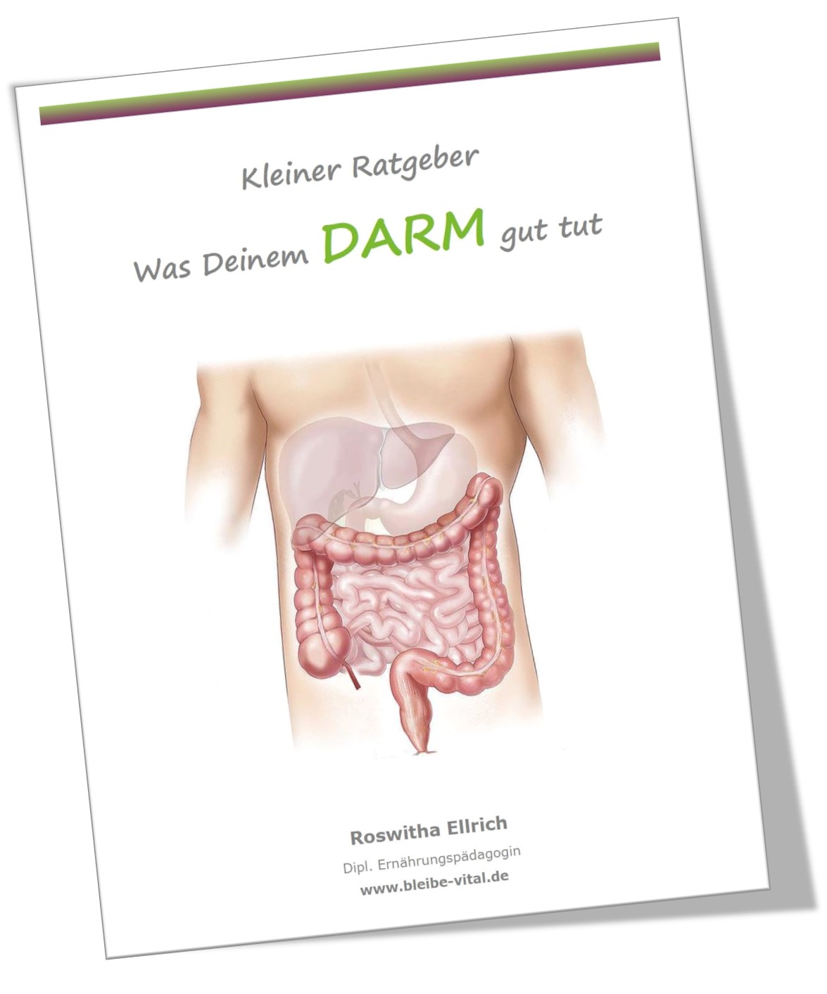 Kleiner Ratgeber Darm