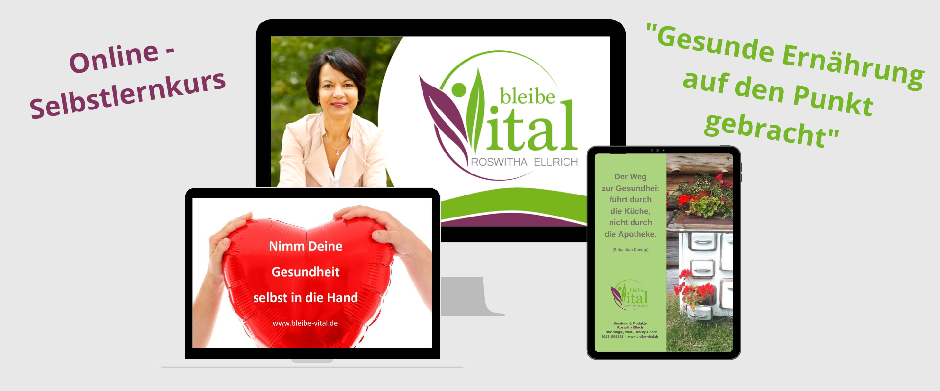 onlinekurs ernährung