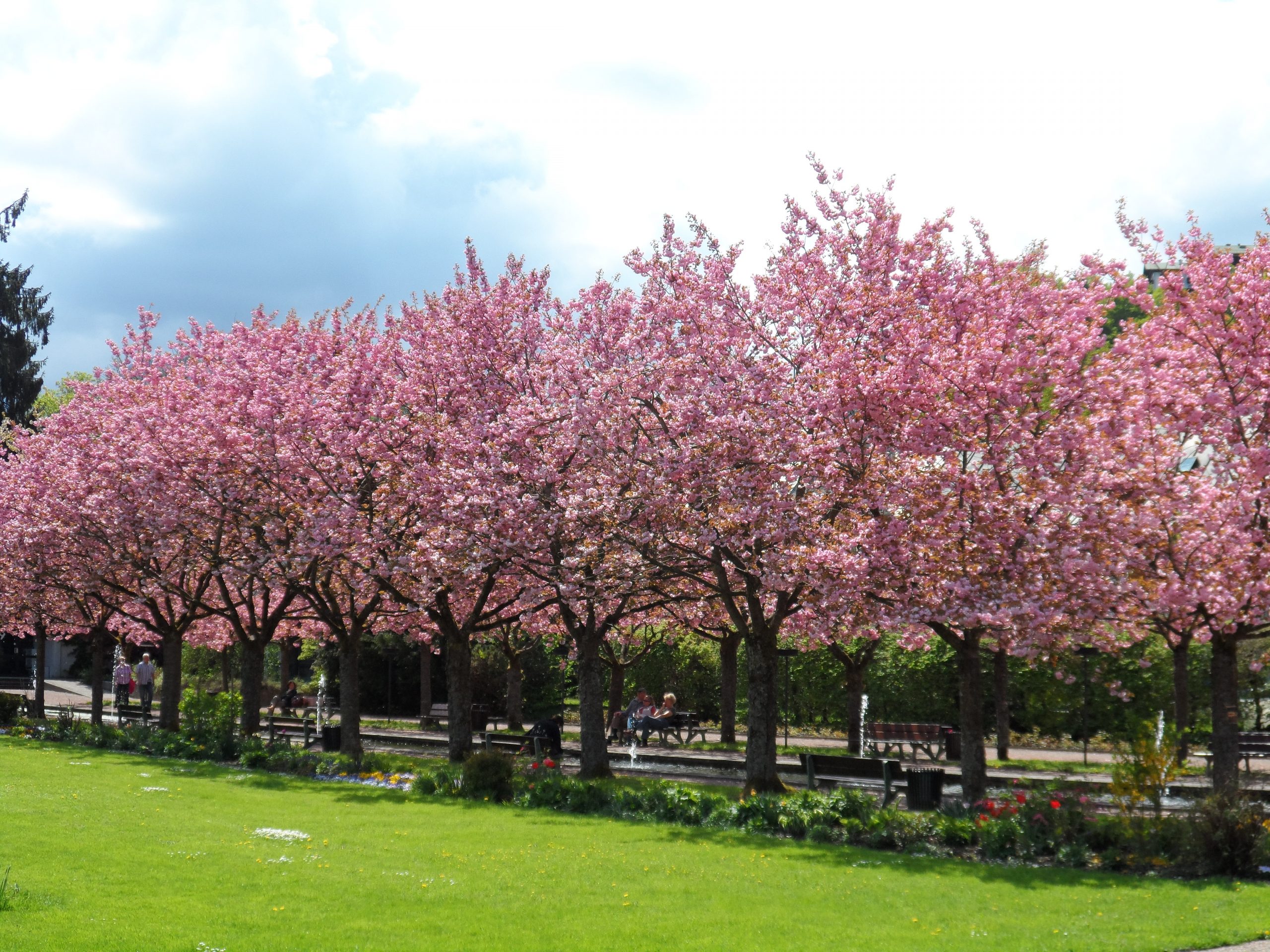 vital in den frühling