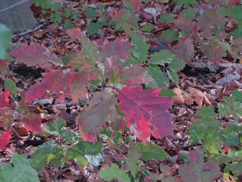 Hautpflege im Herbst